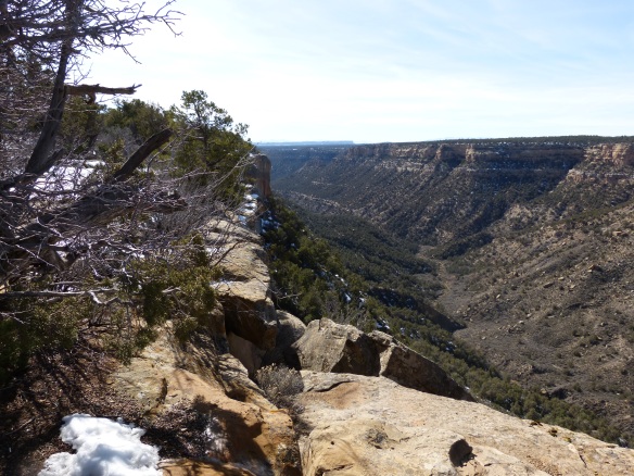 Mesa Verde view